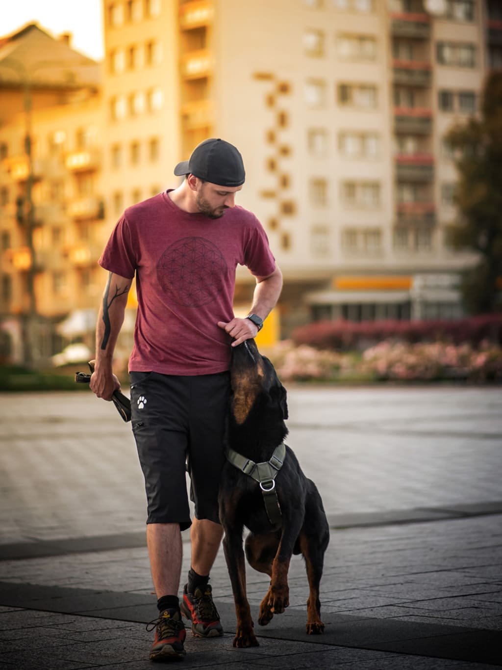 Men's shorts BLACK