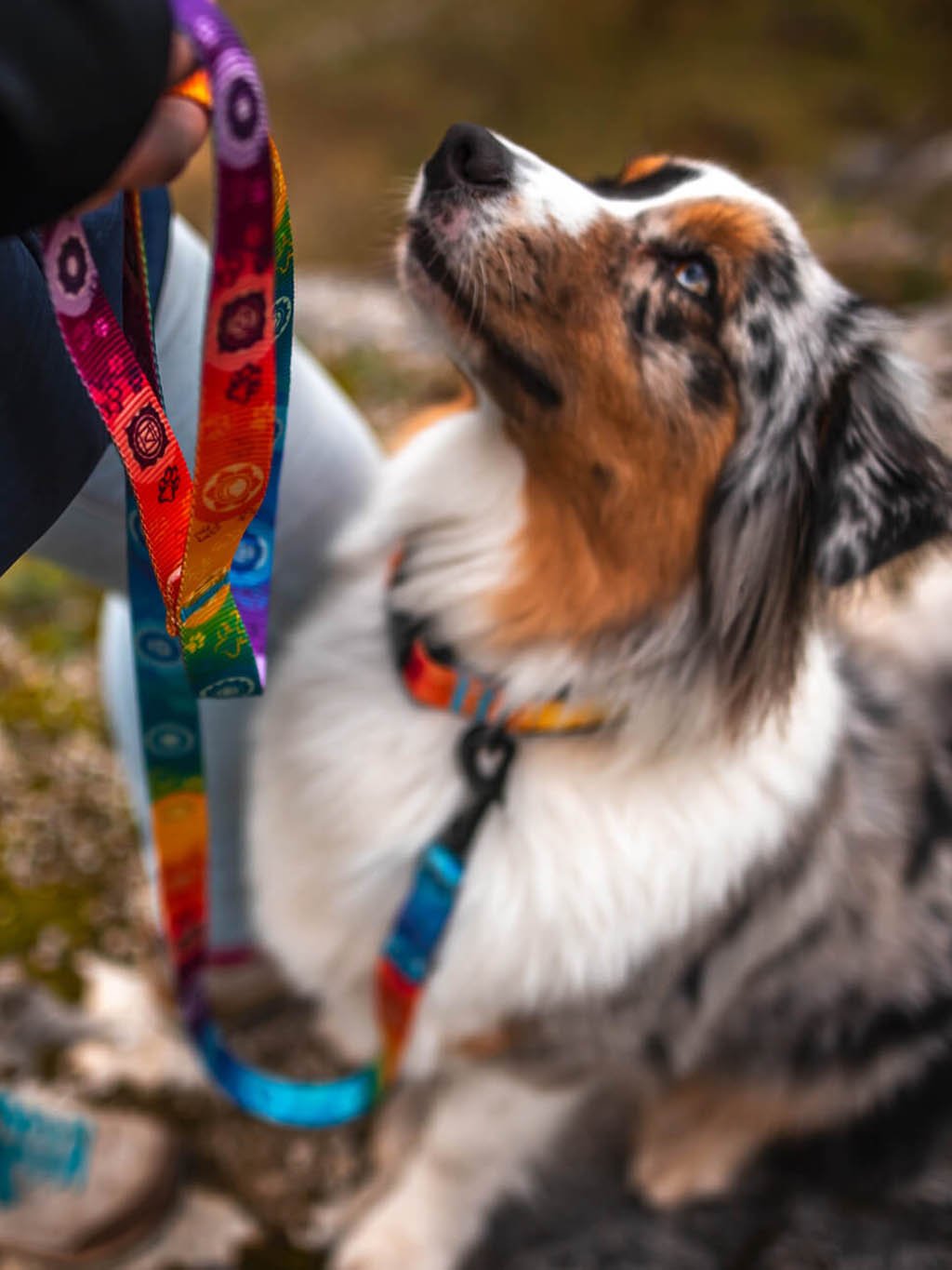 Chakras collar rainbow 4dox