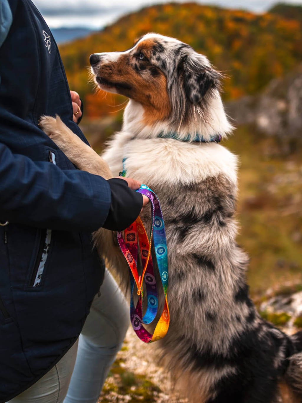 Chakras collar rainbow 4dox