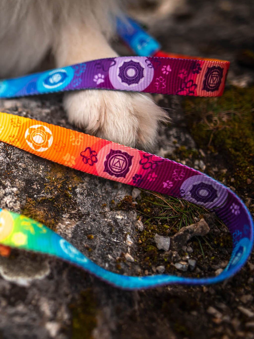 Chakras collar rainbow 4dox