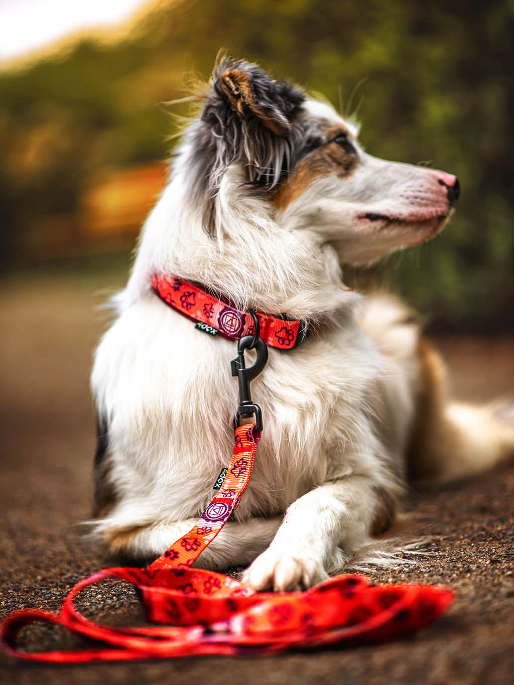 CHAKRAS collar salmon