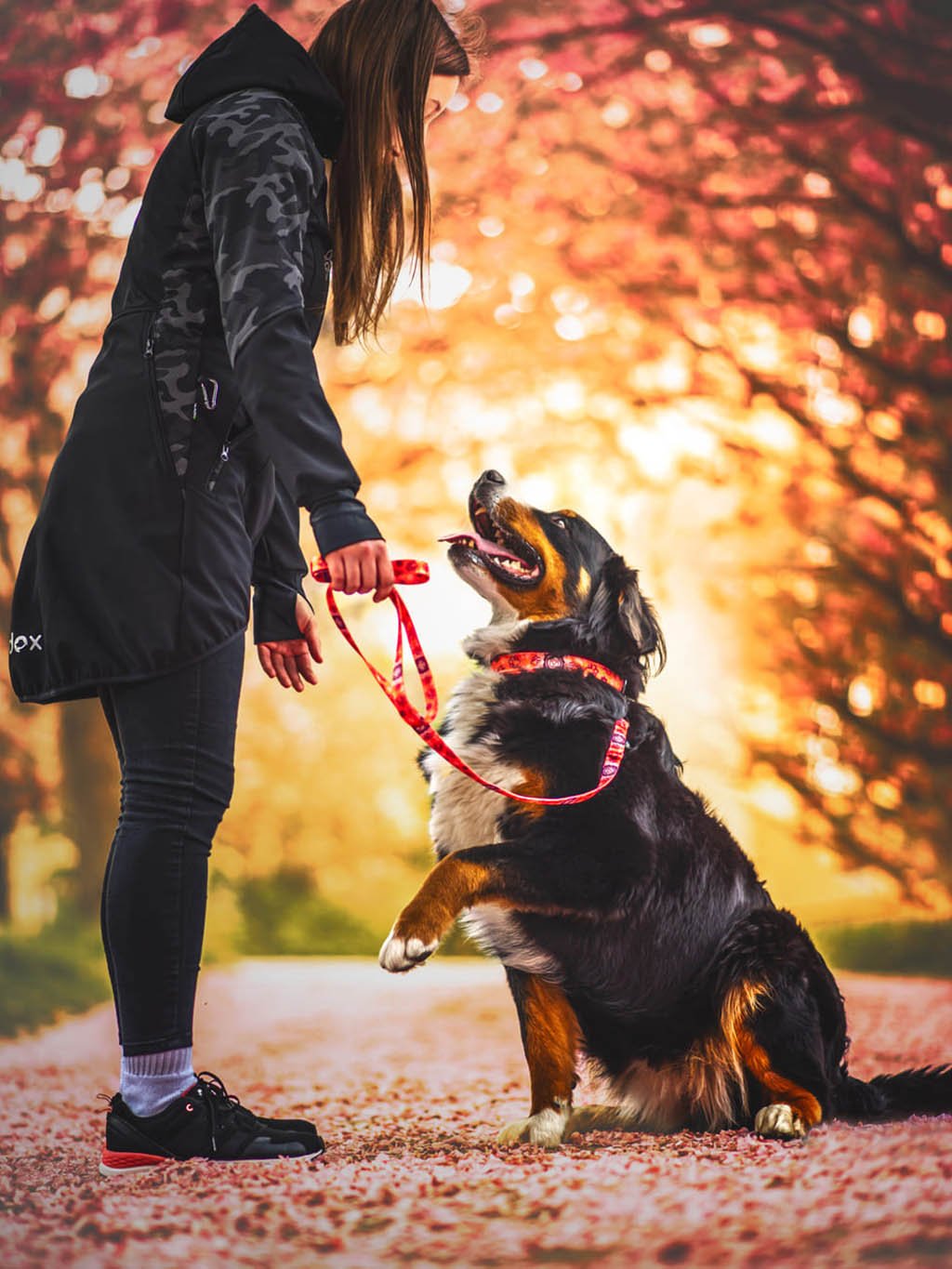 CHAKRAS collar salmon