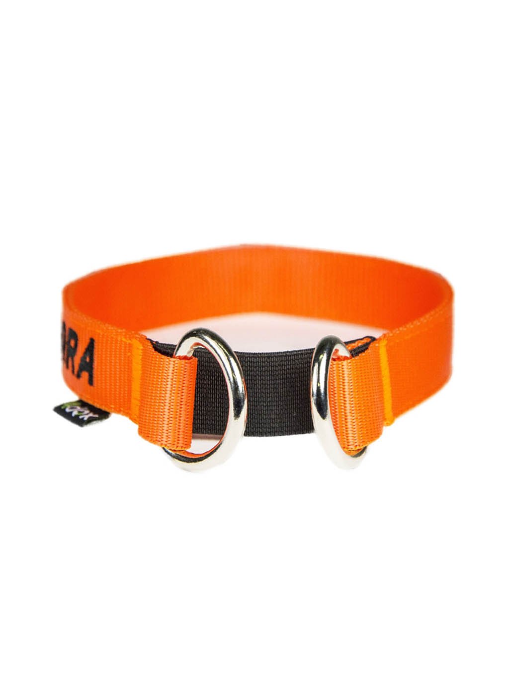 Collar for hunting dogs - customized collar