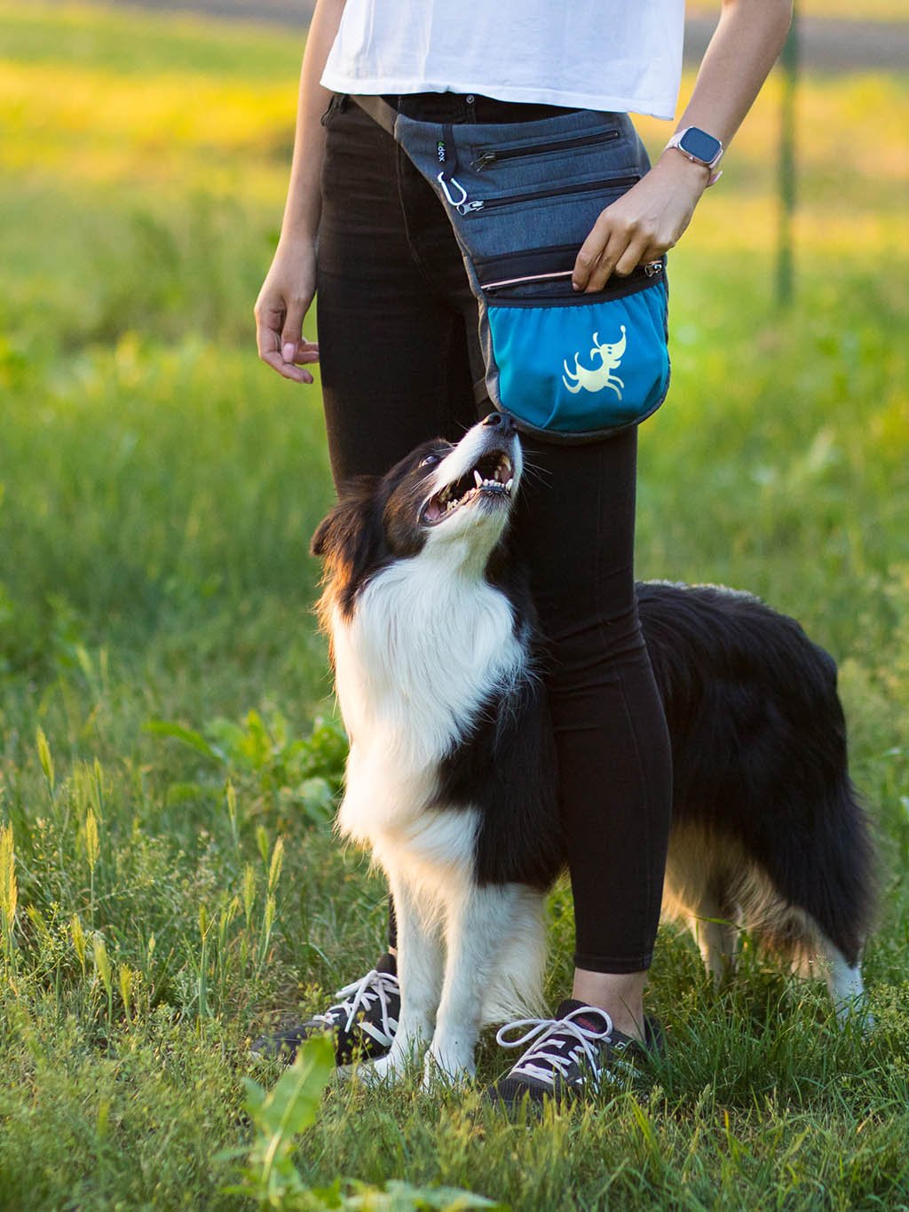 Treat pouch 3in1 Petrol with glowing dog