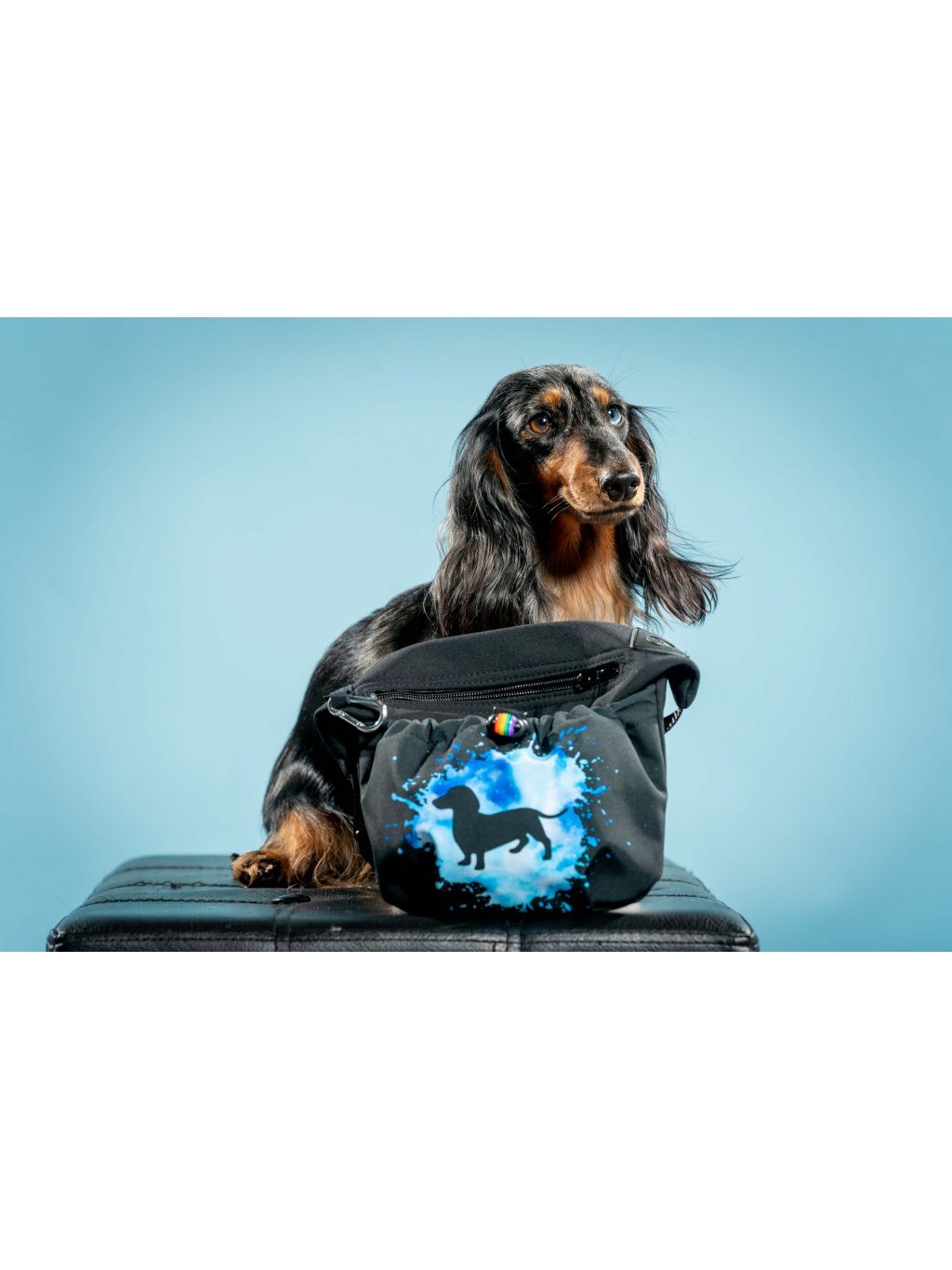 Treatbag  blue with magnetic clasp Dachshund longhaired J2 sale