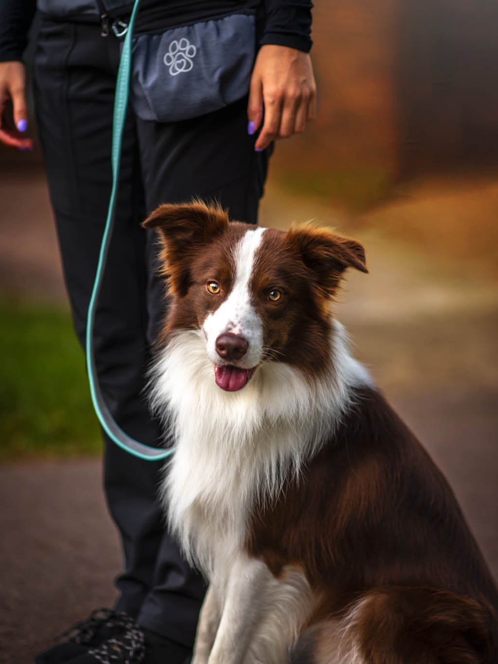 Pamlskovník with magnetic clasp ANTRAZIT with paw 4dox