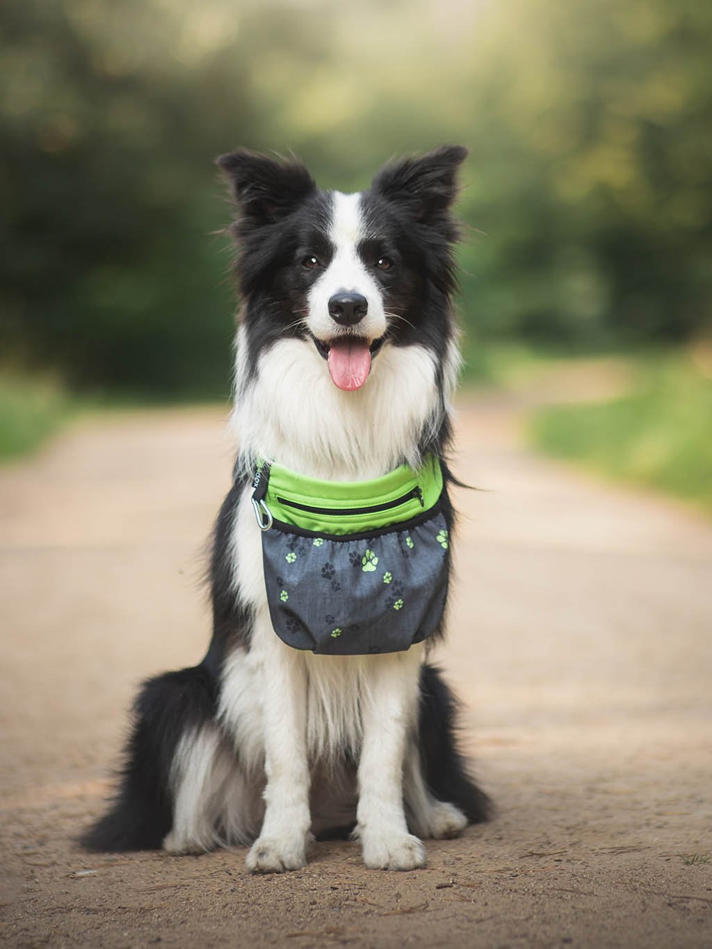 Dog training treat pouch with a magnetic fastening, lime No. 3