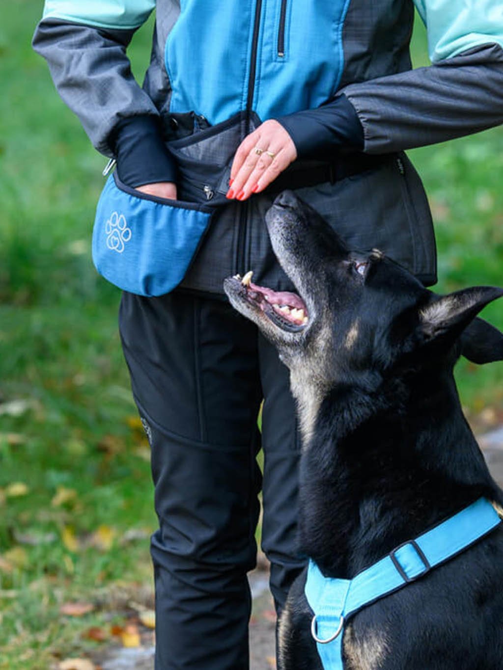 Treat pouch with magnetic closure Teal with paw 4dox