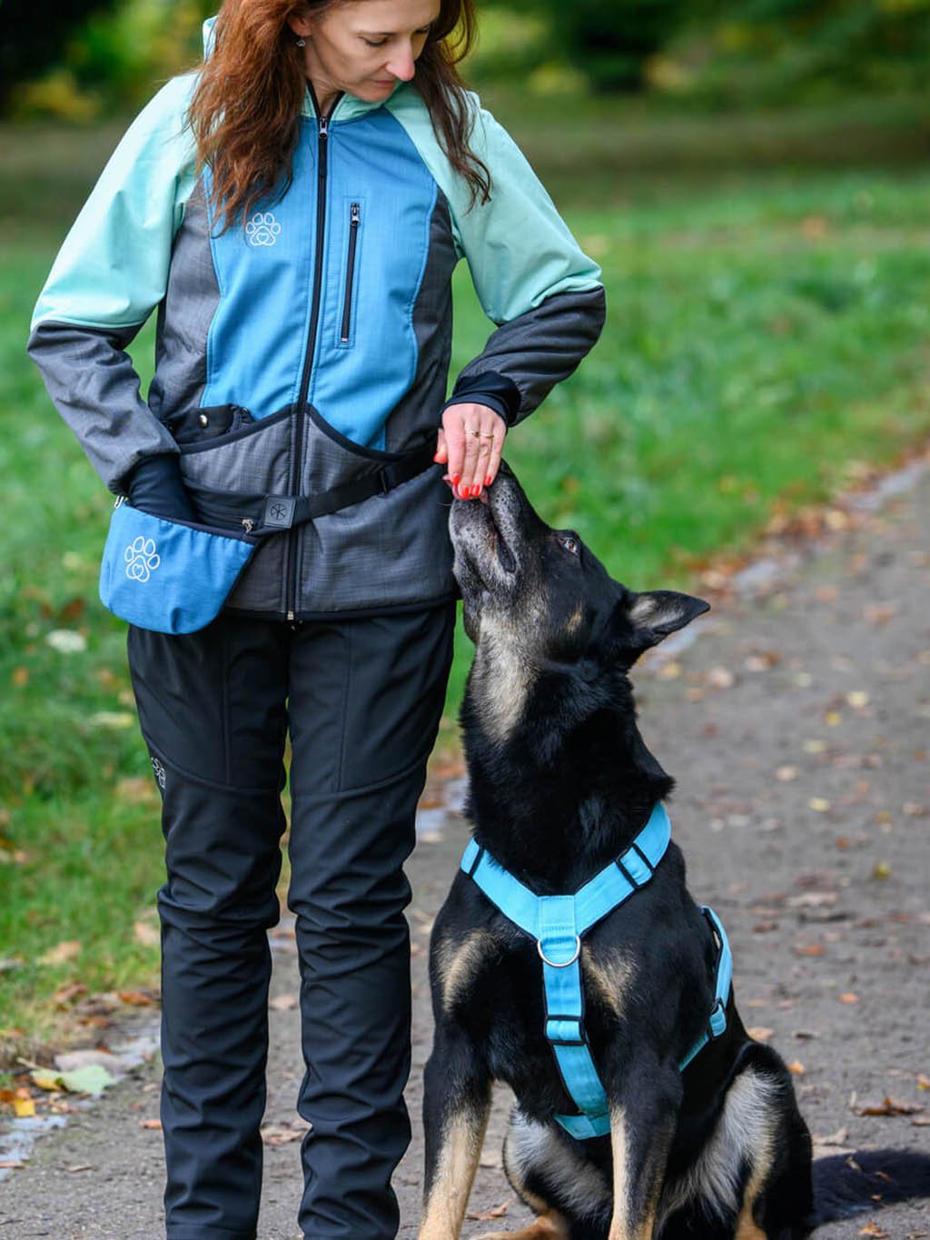 Treat pouch with magnetic closure Teal with paw 4dox