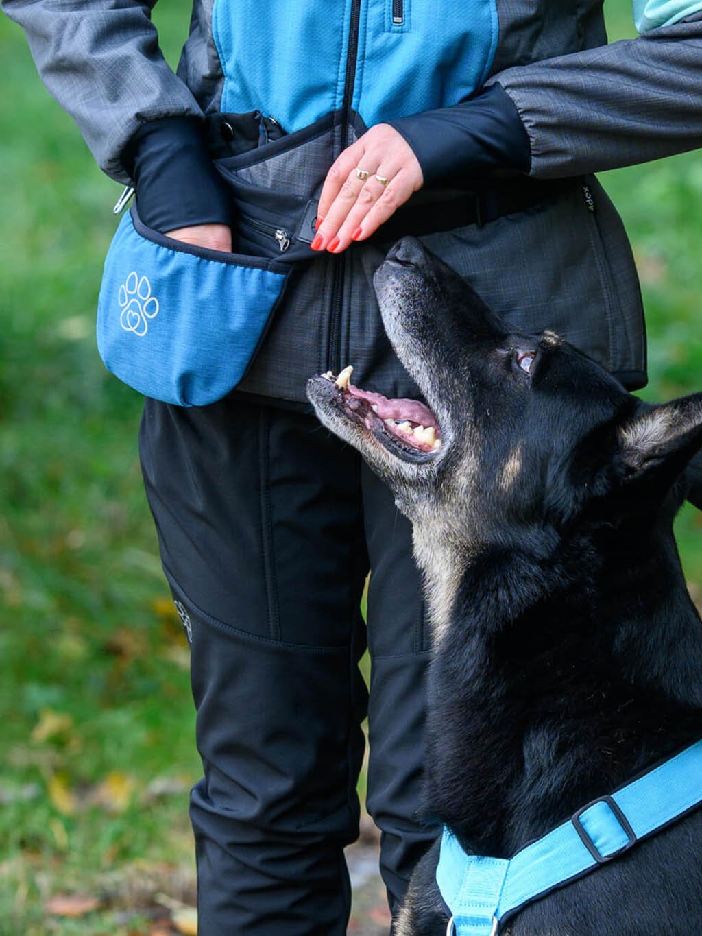 Treat pouch with magnetic closure Teal with paw 4dox