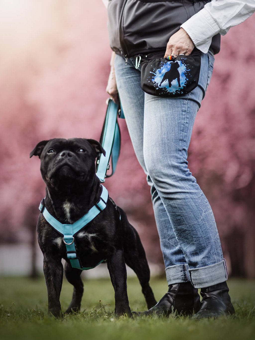 Pamlskovník met magnetische sluiting Staford. bullterriër hond SBP 4dox