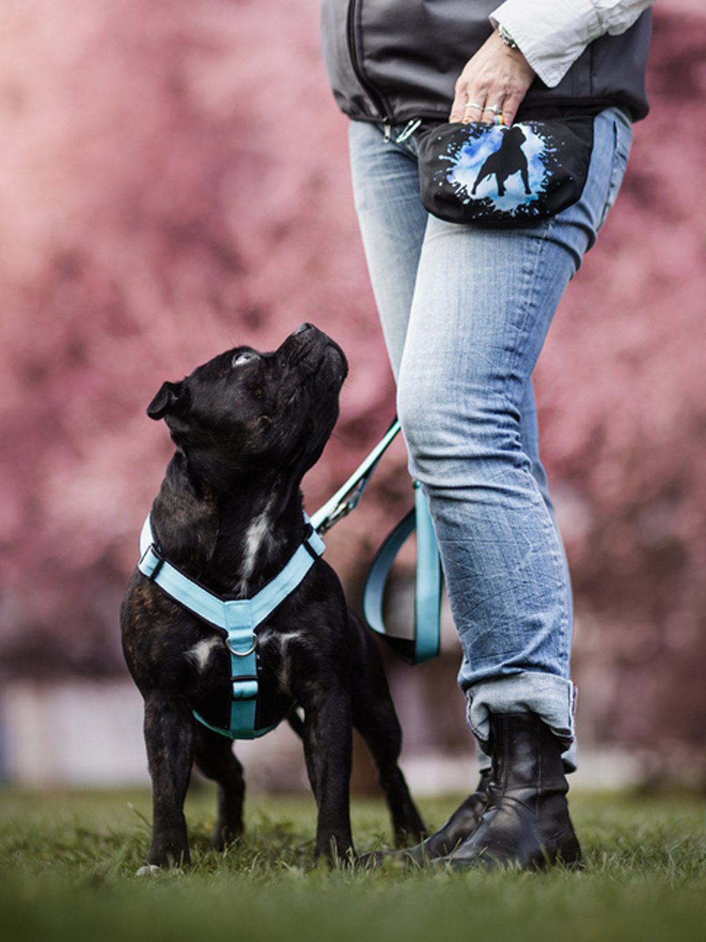 Pamlskovník met magnetische sluiting Staford. bullterriër hond SBP 4dox