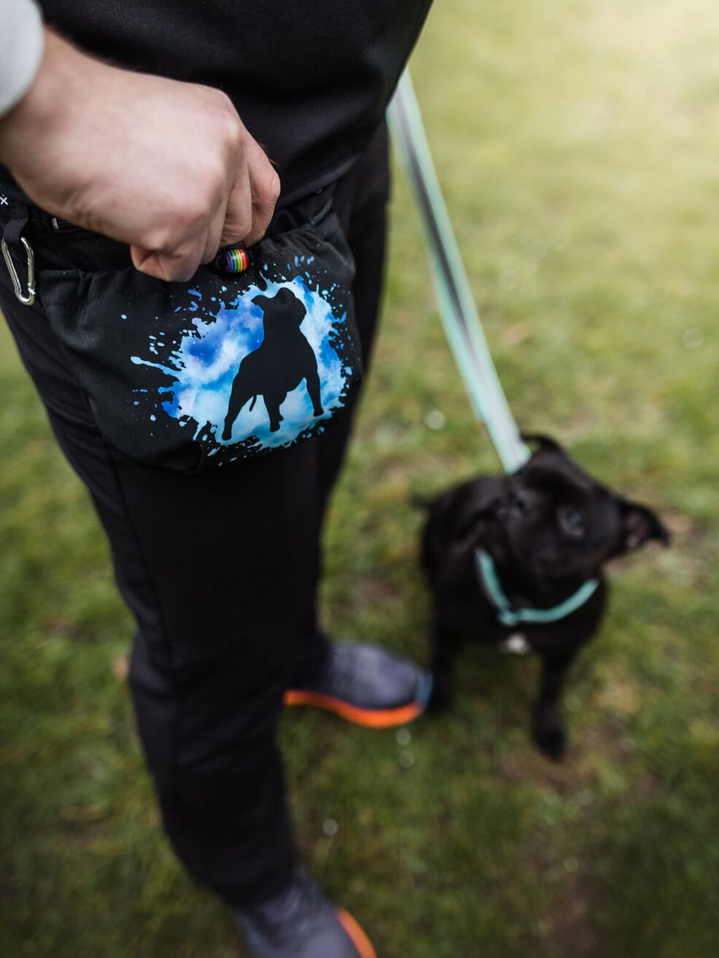 Pamlskovník met magnetische sluiting Staford. bullterriër hond SBP 4dox