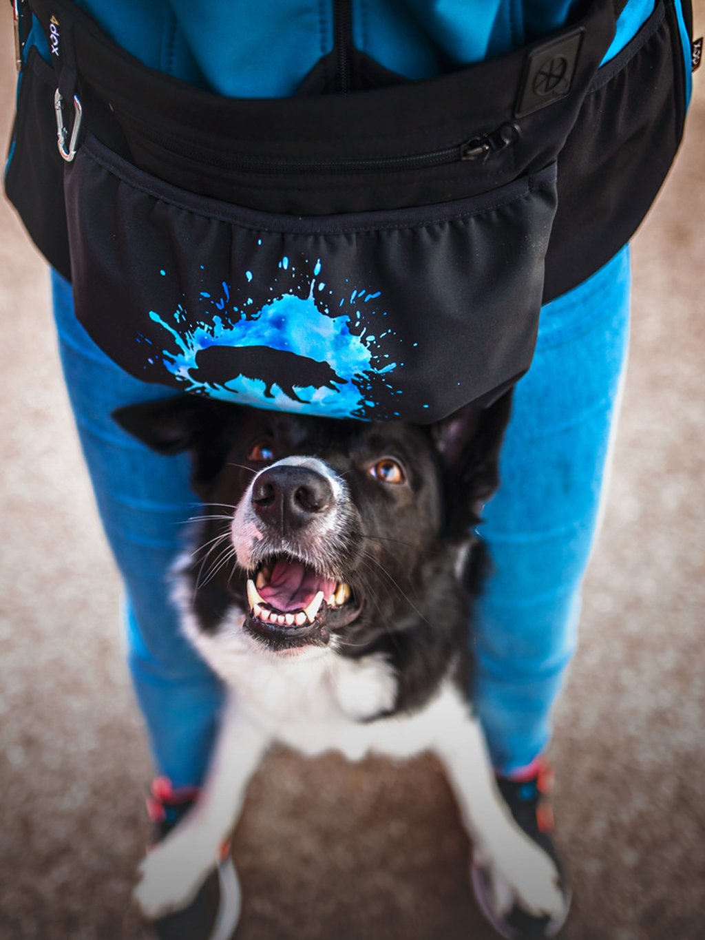 Treat bag XL Border Collie 4dox