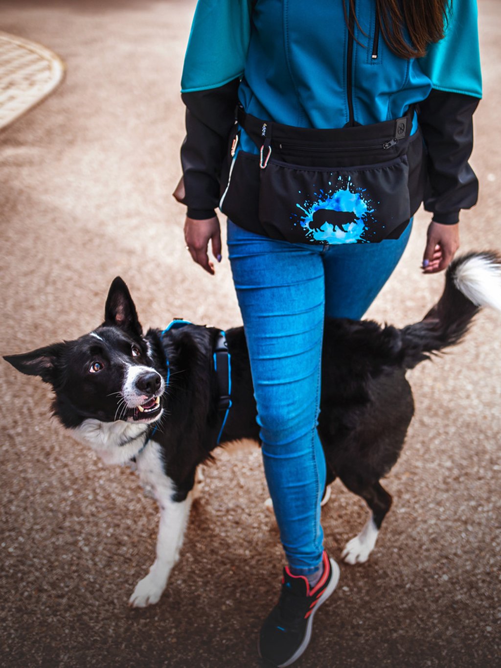 Treat bag XL Border Collie 4dox