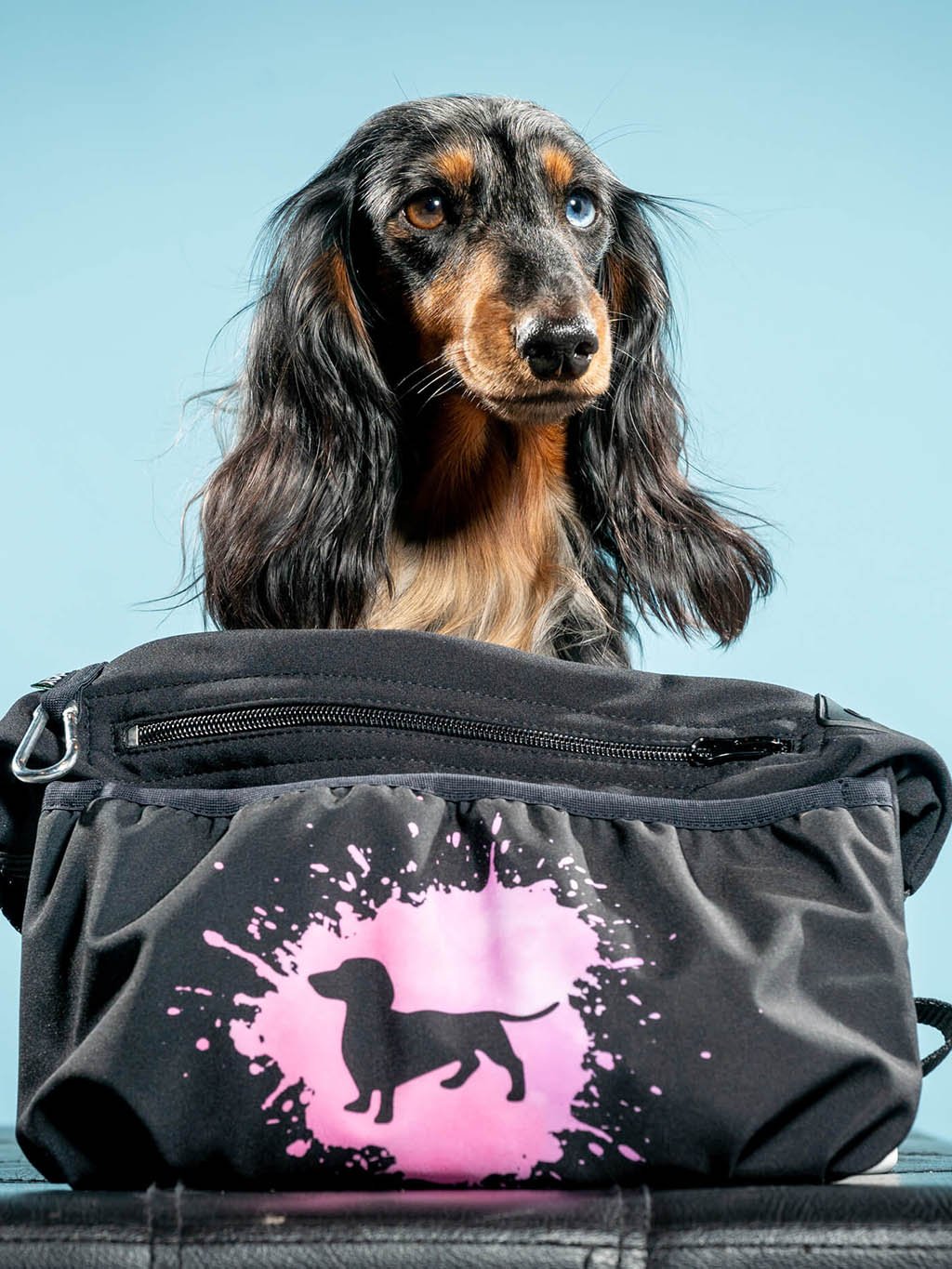 Treat pouch XL 1K Dachshund longhaired J2 4dox