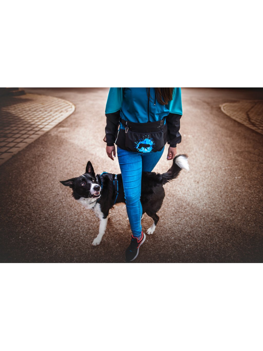 Honden beloningstasje XL 1K blauw Border Collie kortharig BC1