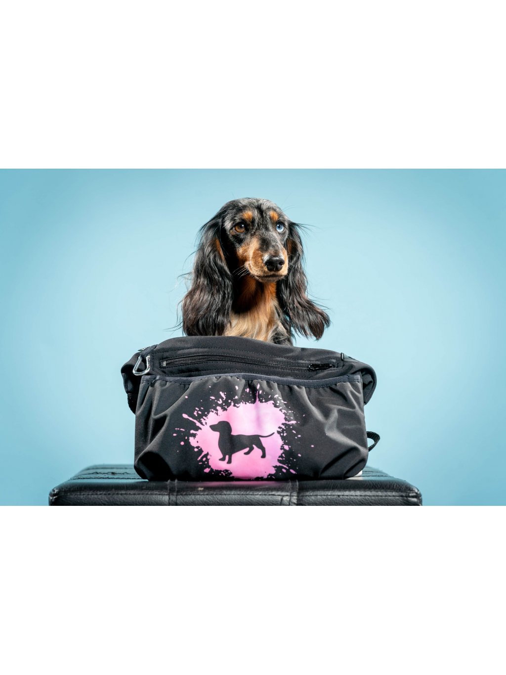 Treatbag  XL 1K pink Dachshund longhaired J2 sale