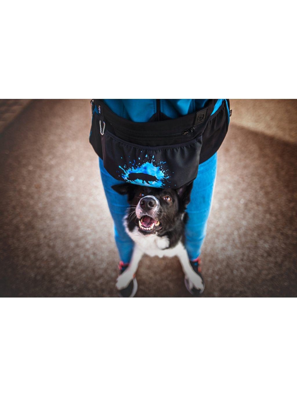 Snoepzak XL 2K blauw Franse Bulldog uitverkoop