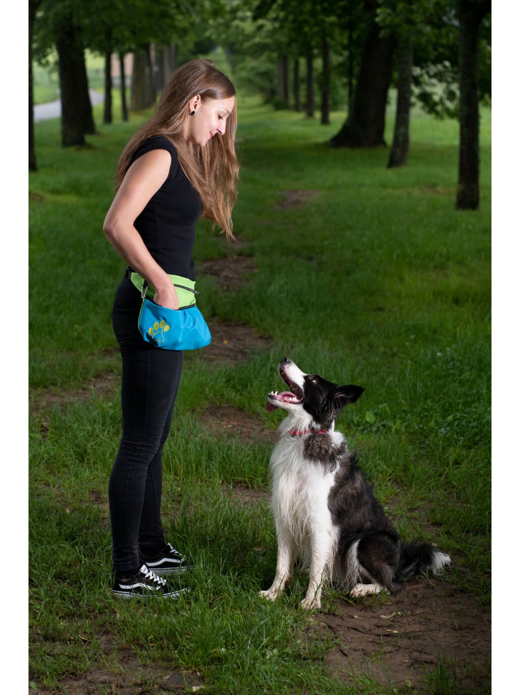 Dog training treat pouch XL azure blue