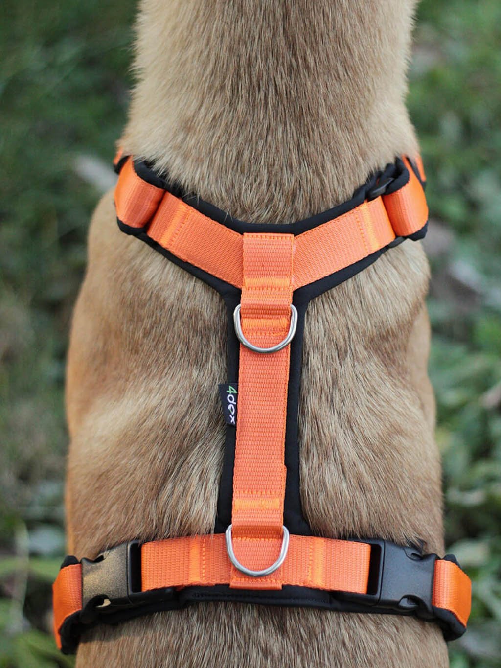 Comfort plus harness - fuchsia 4dox