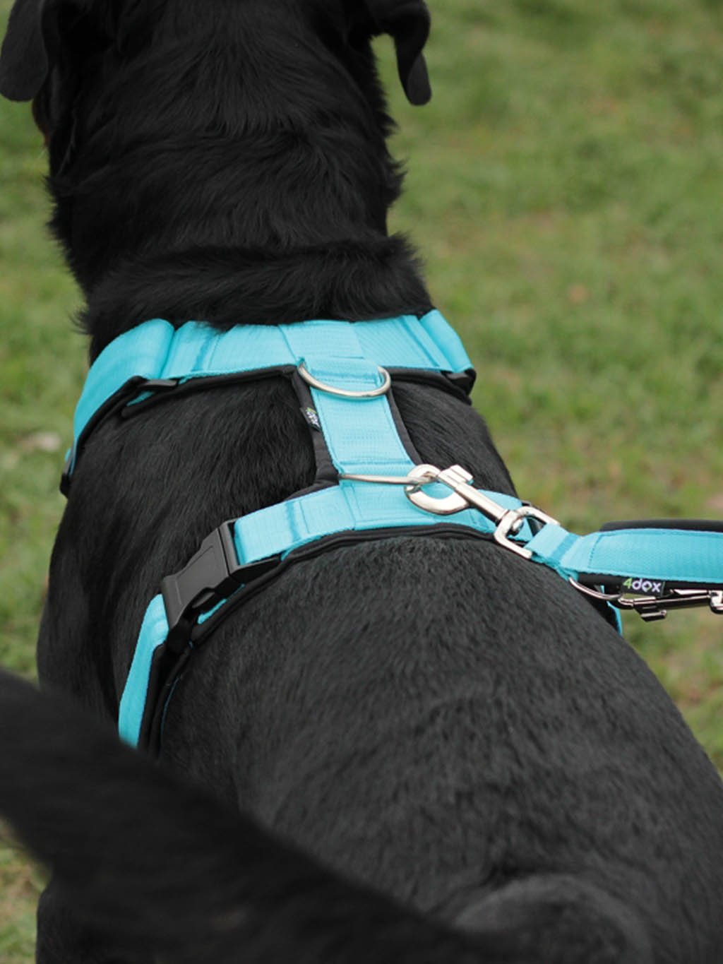 Comfort plus harness - fuchsia 4dox