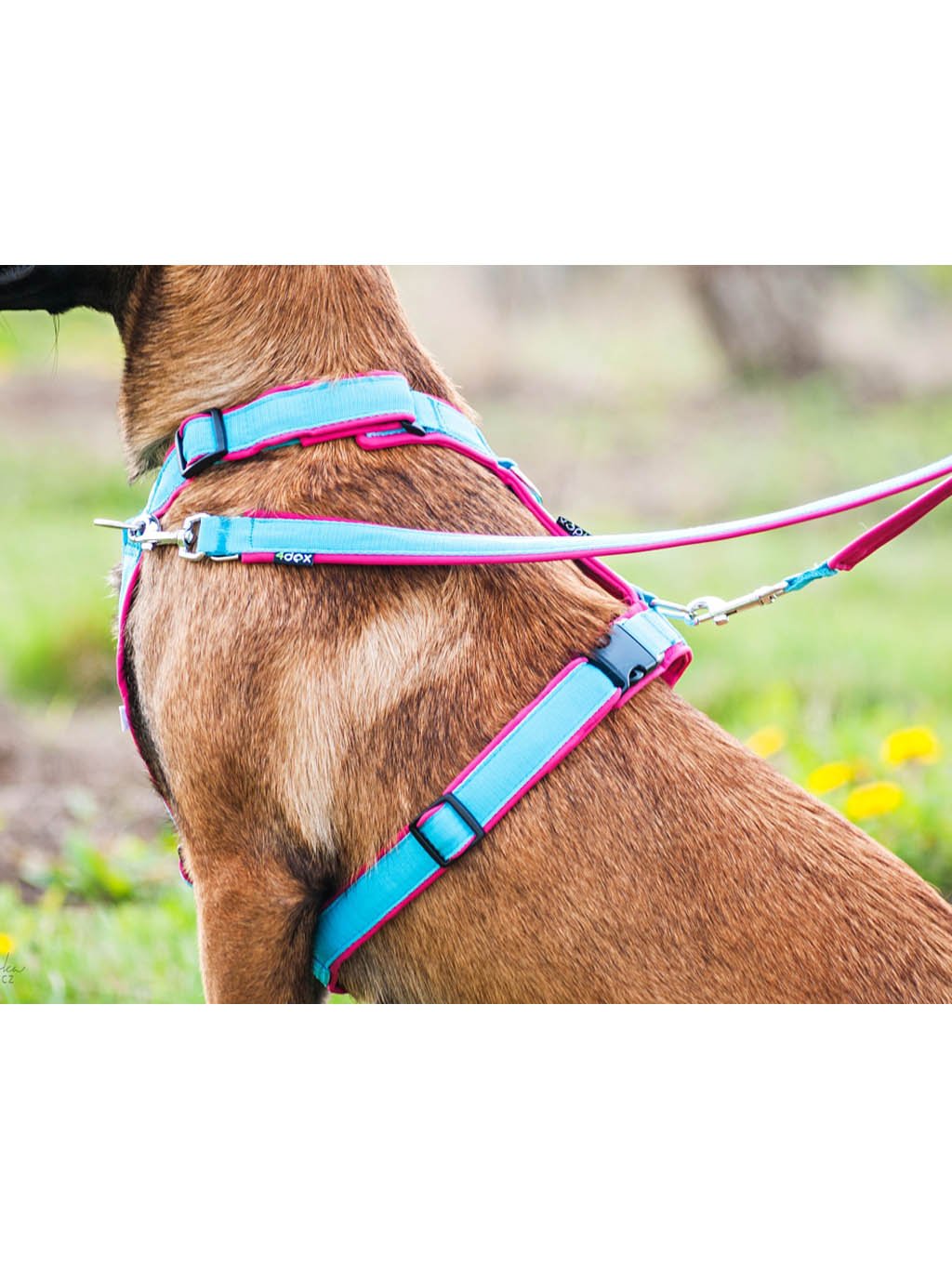 Comfort plus harness - fuchsia 4dox