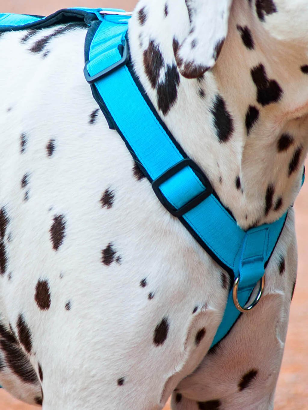 Comfort plus harness - pastel mint 4dox