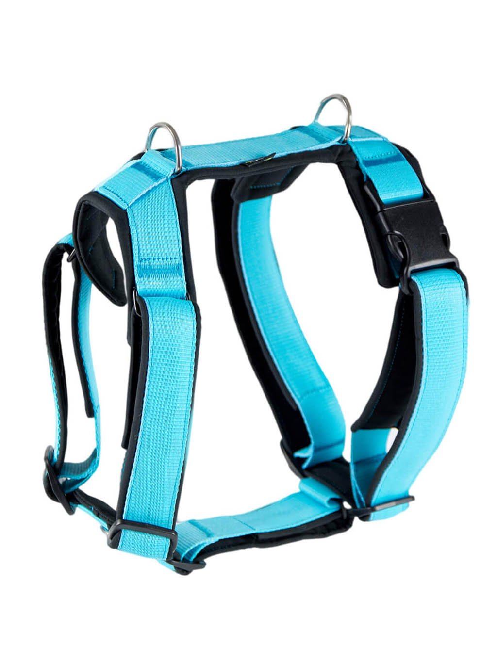 Harness comfort plus - turquoise