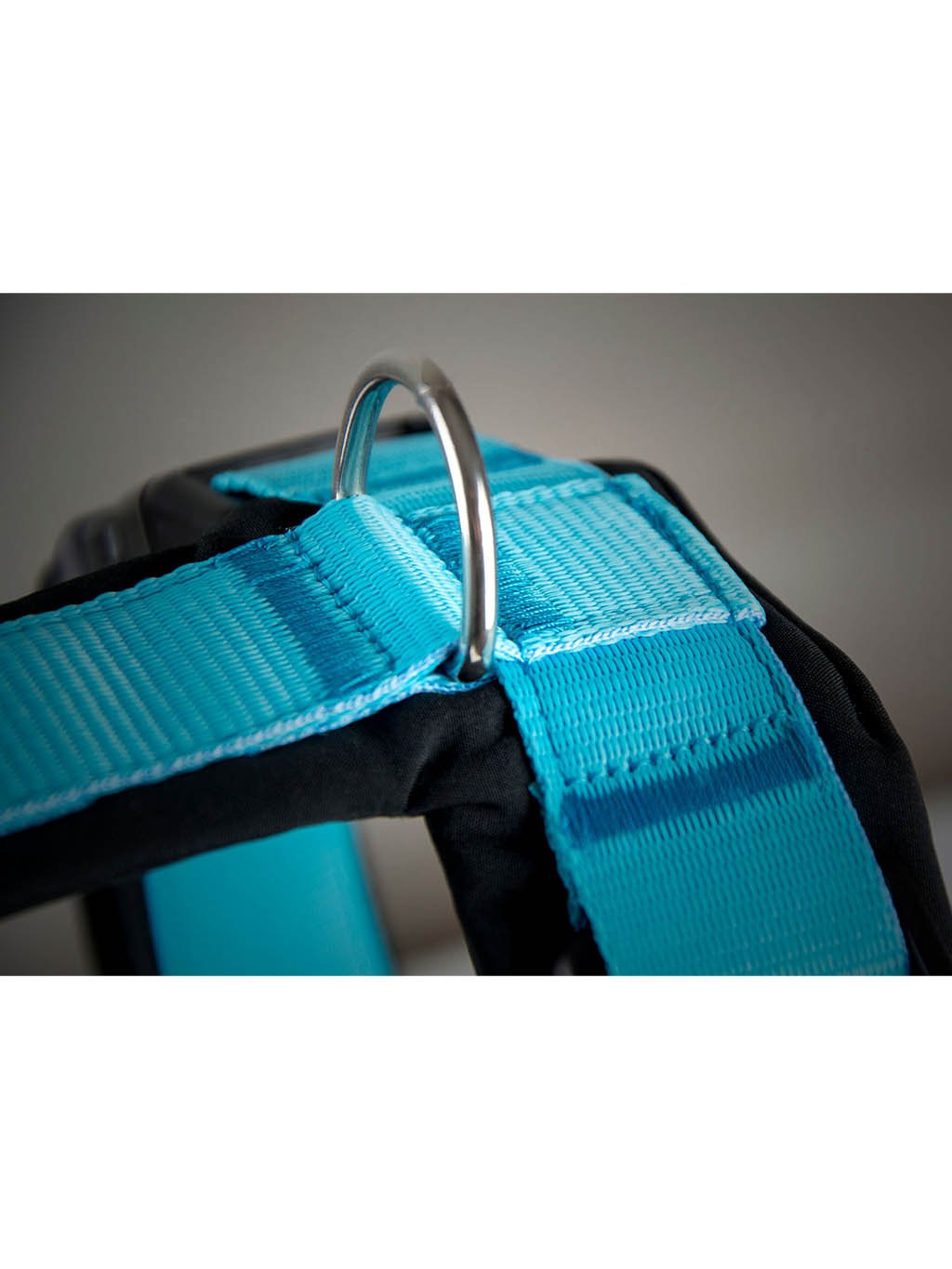 Harness comfort plus - turquoise