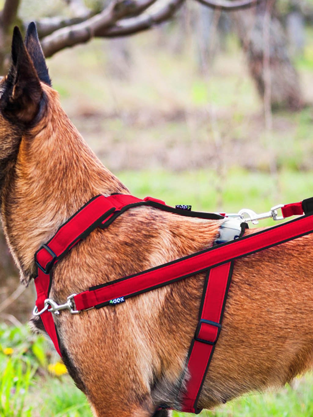 switching leash - RED-BLACK 4dox