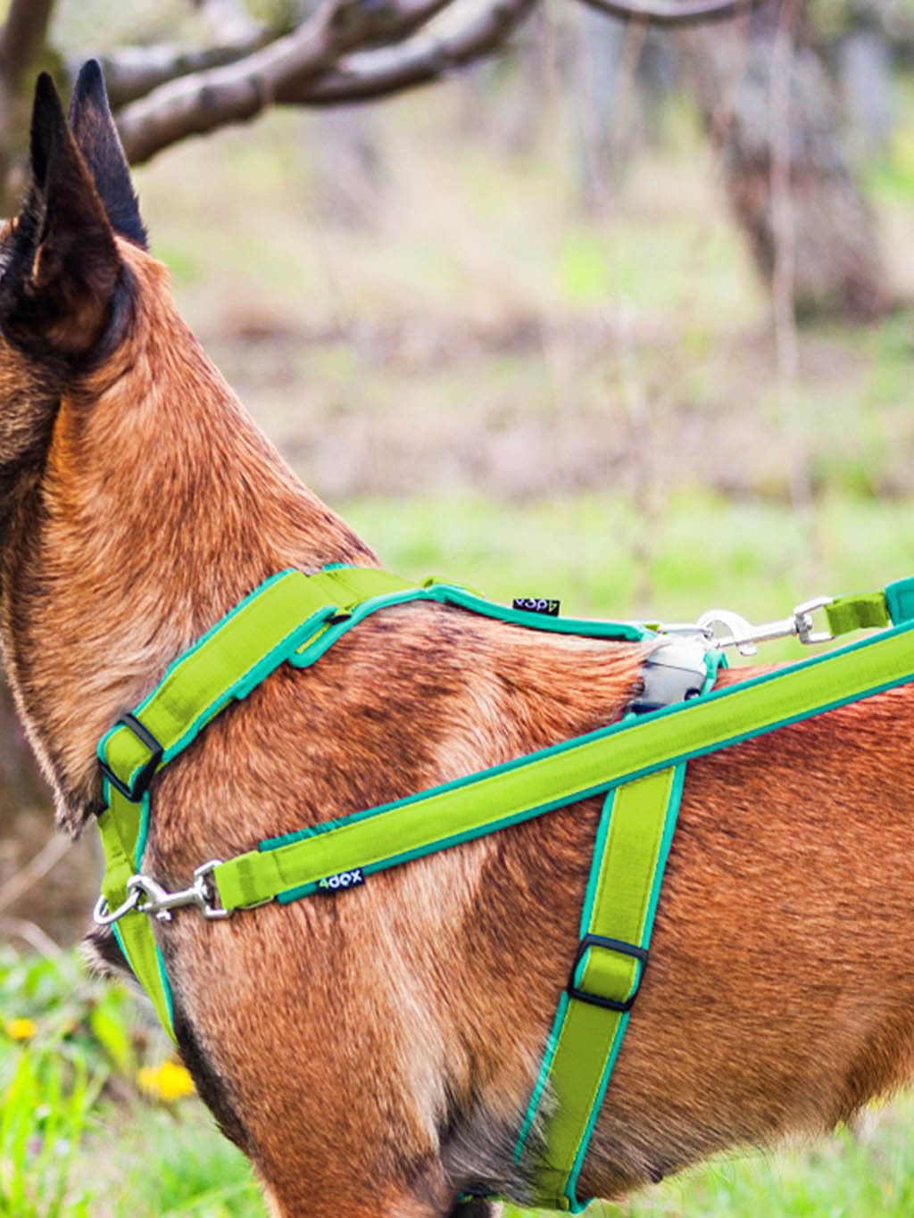 Switching leash - LIME-TURQUOISE