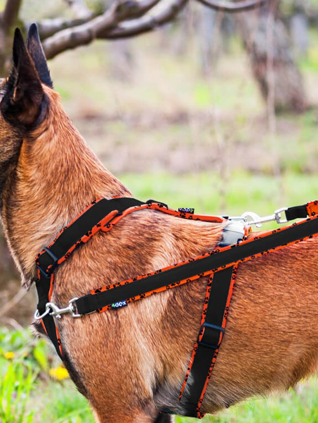 switching leash - neon orange with paws