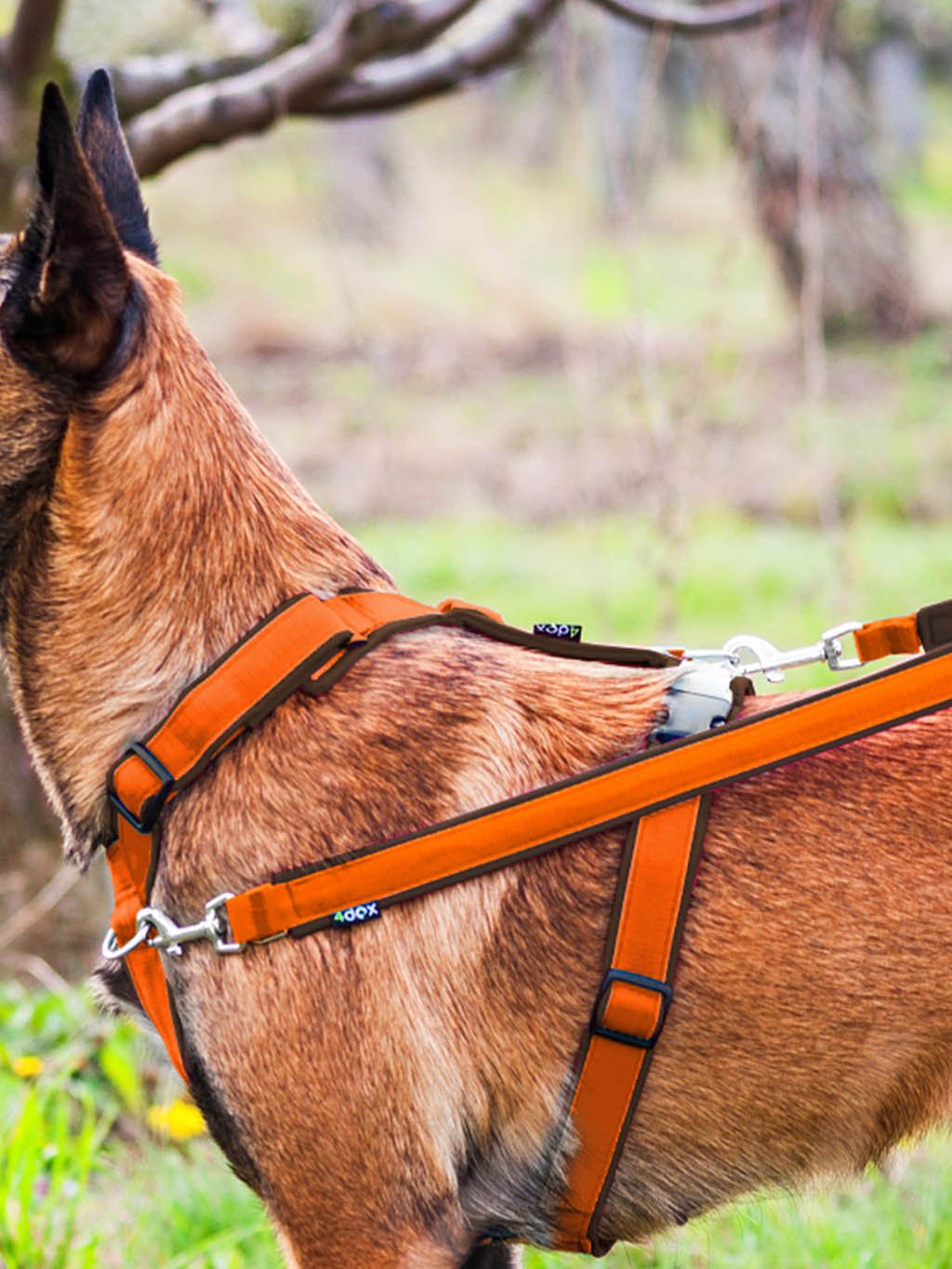 Switching leash - ORANGE-CHOCO