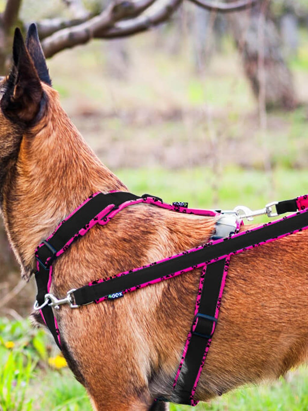 switching leash - pink with paws