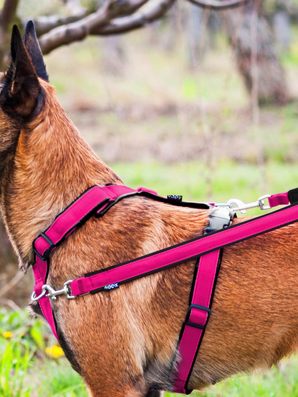 Switching leash - PINK-BLACK