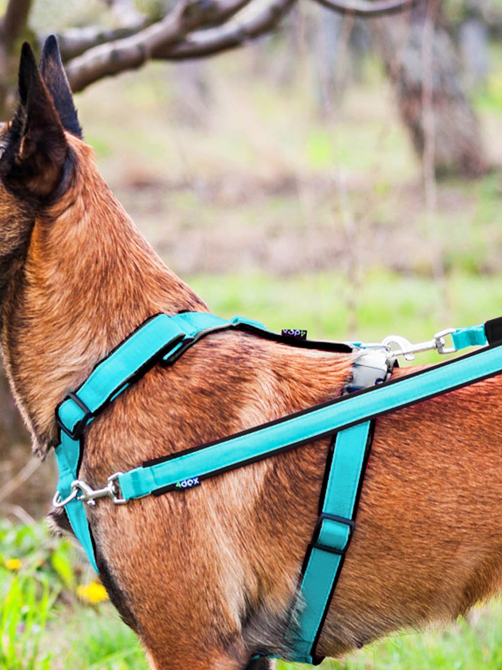 Switching leash - TURQUOISE-BLACK