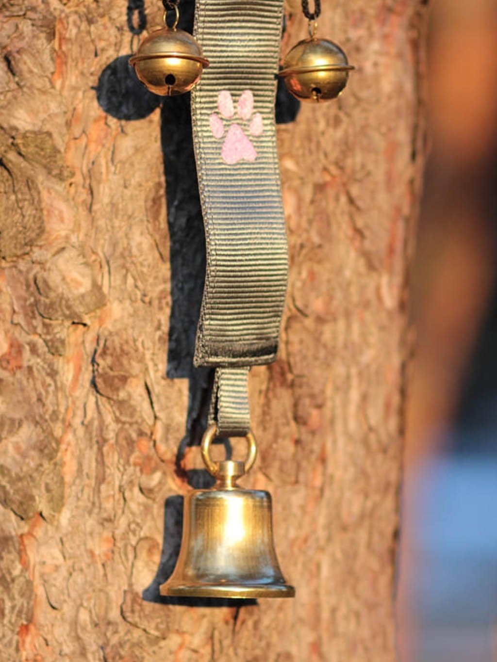 Dog bells for smaller dogs - customized