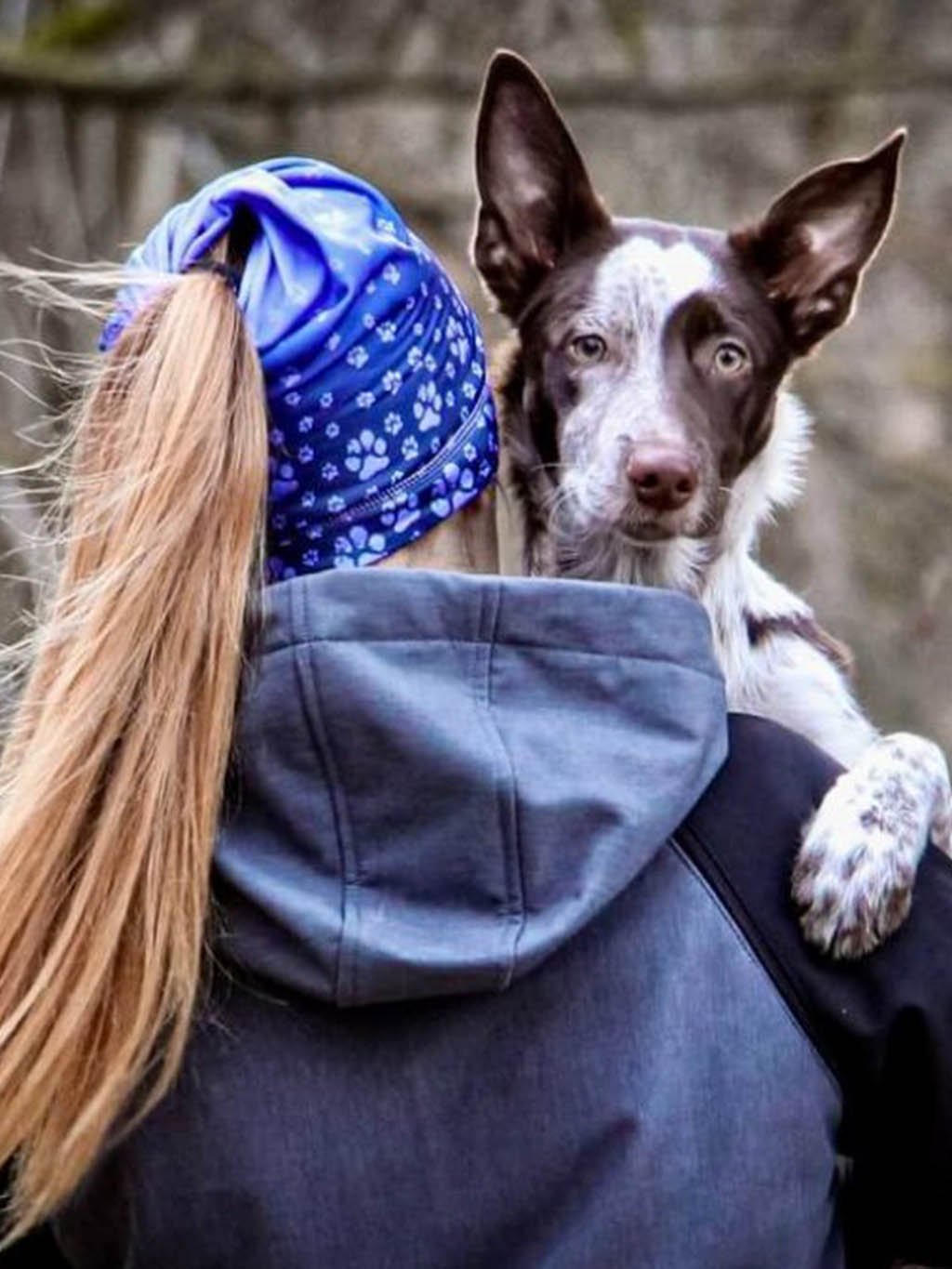 Sport. pet omkeerbaar gat voor paardenstaart A11 pruim-periwinkle