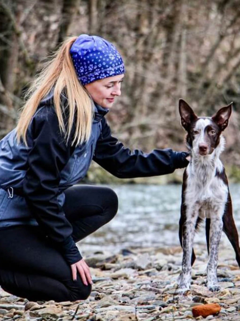 Sport. pet omkeerbaar gat voor paardenstaart A11 pruim-periwinkle