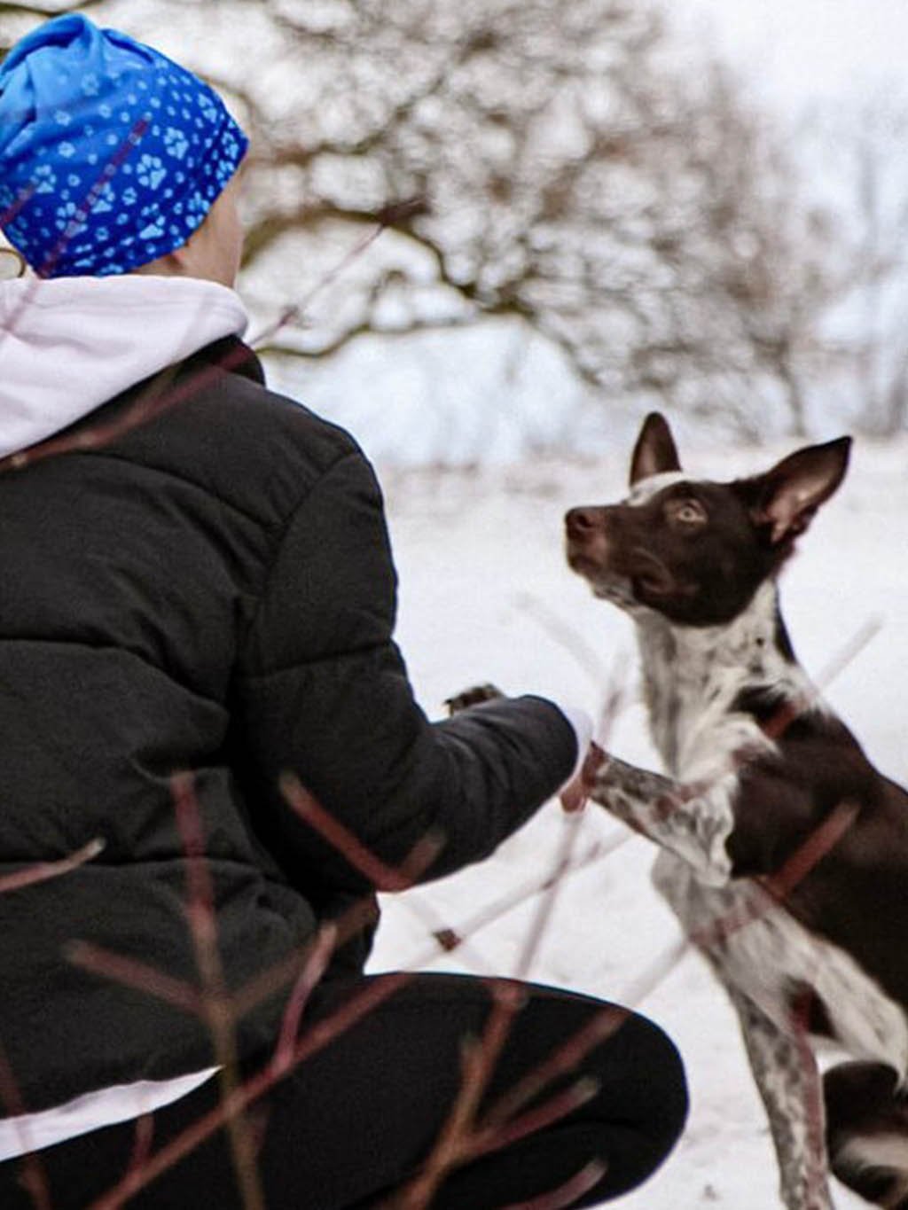 Sport. pet omkeerbaar gat voor paardenstaart A9 blauw - limoen