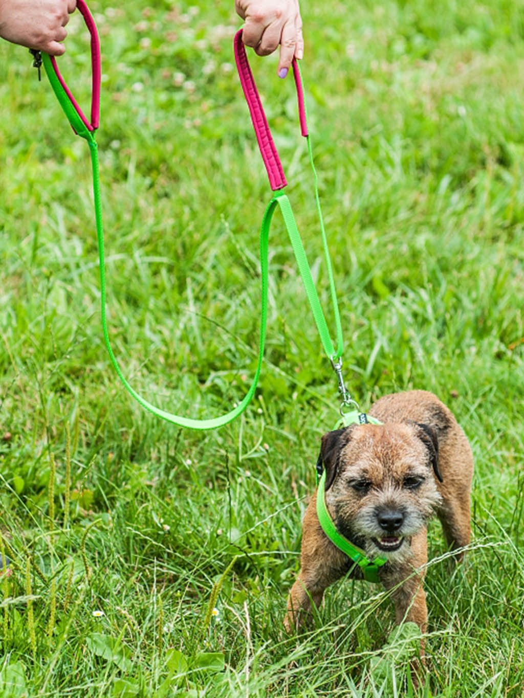 City guide - customized leash