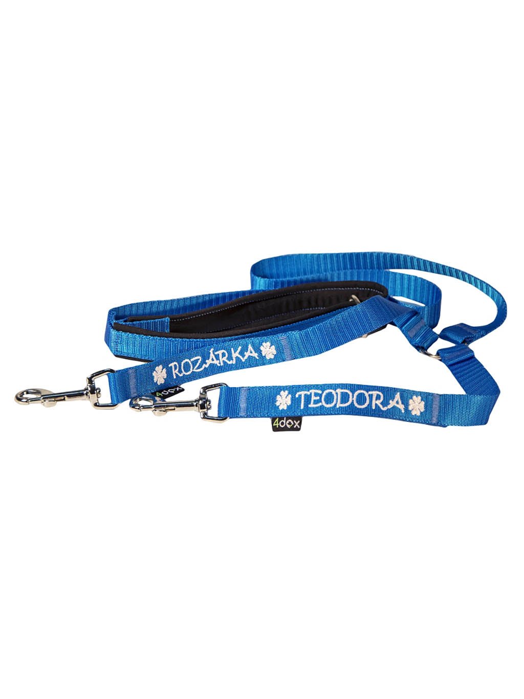 Leash for two dogs - customized leash