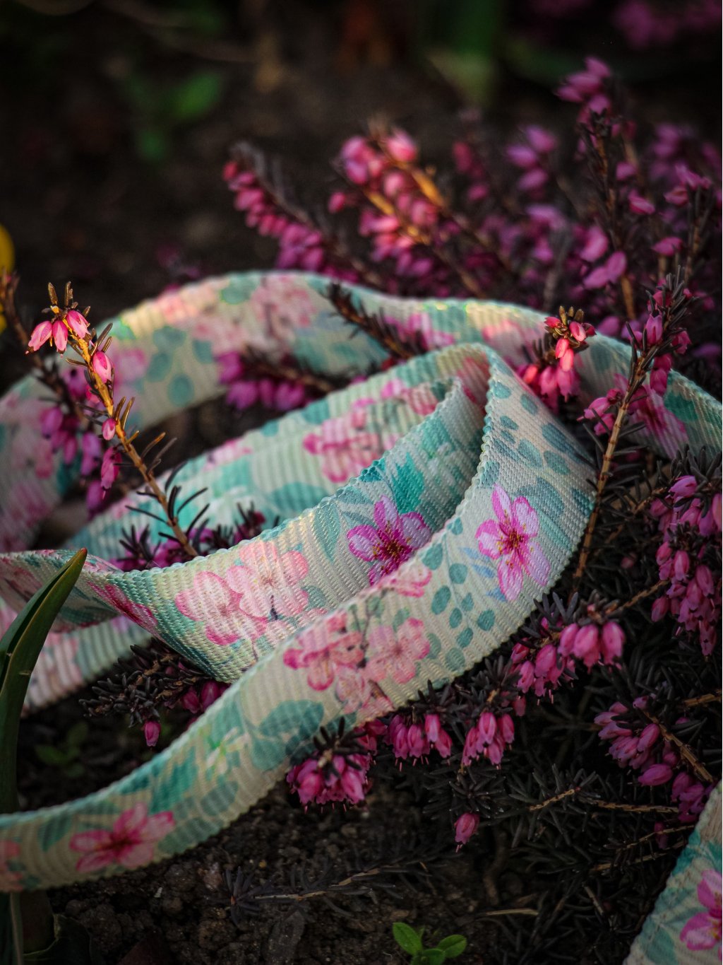 Leash SAKURA 4dox