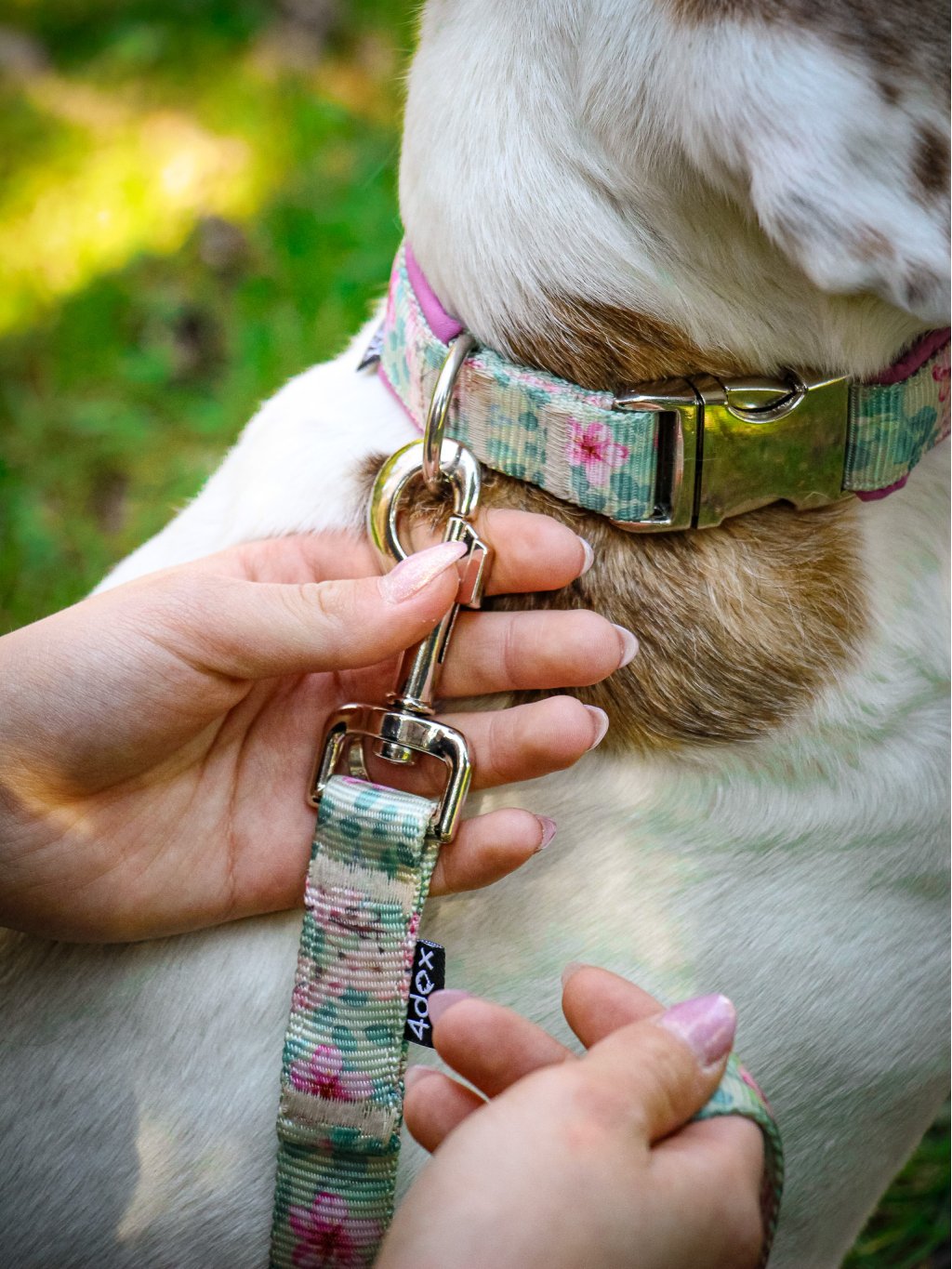Leash SAKURA 4dox