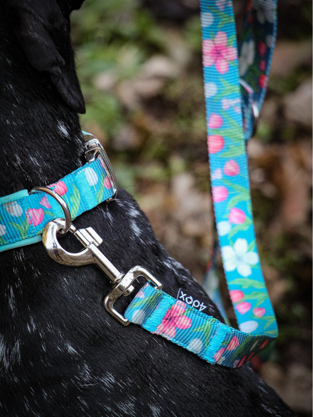 leash TULIP 4dox