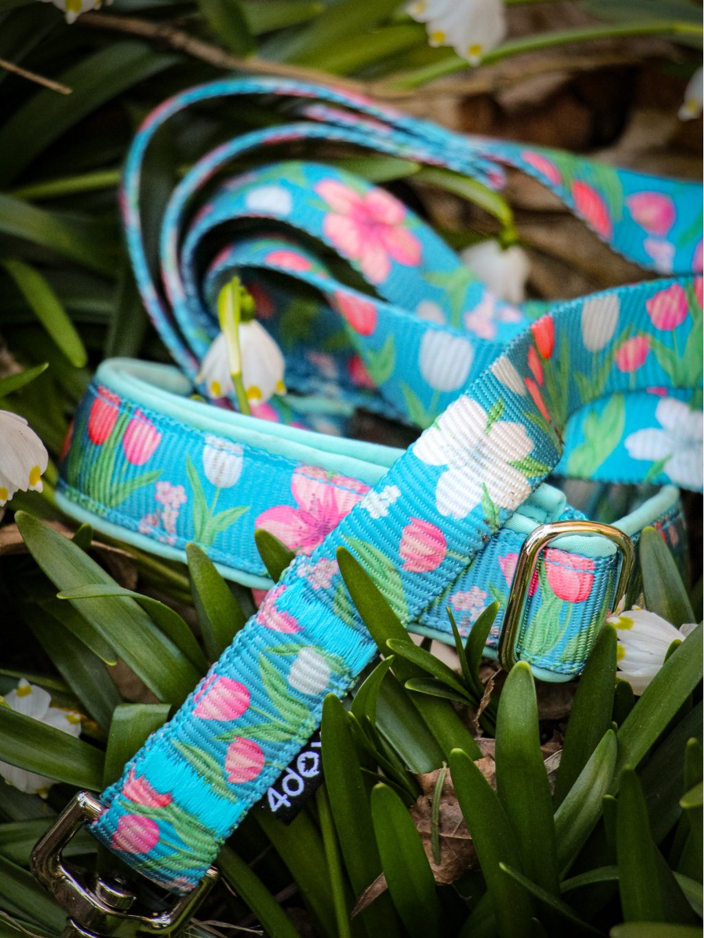 leash TULIP 4dox