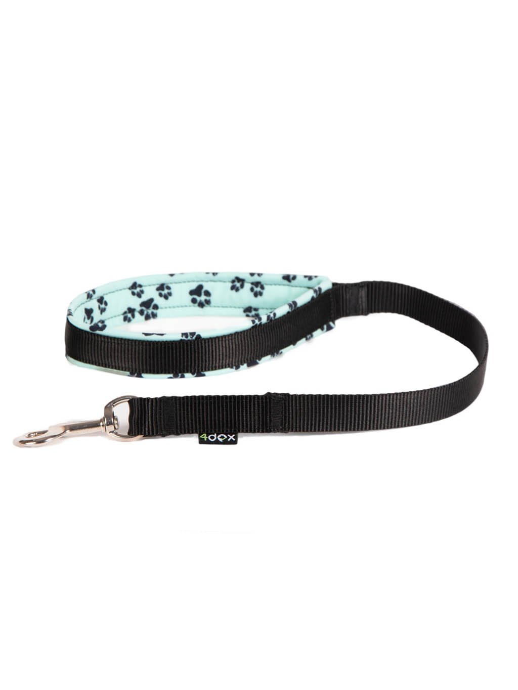 Training leash LONG - mint paw