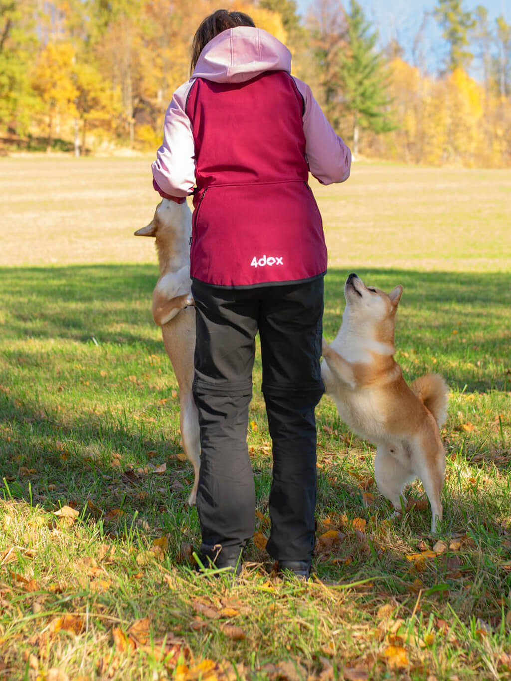 Women's training jacket 2 in 1 garnet