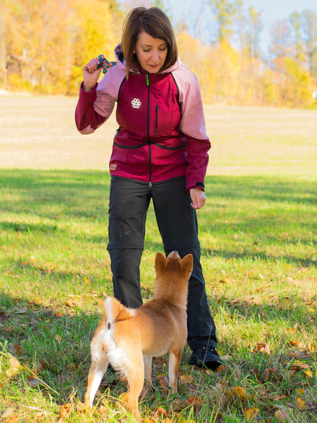 Women's training jacket 2 in 1 garnet